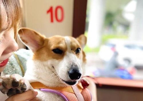 娱乐吃瓜爆料最新版下载,揭秘娱乐圈幕后真相！