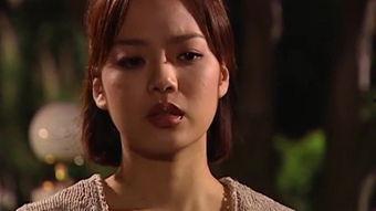 爱上女主播下载全集,爱上女主播全集下载，揭秘网络直播的奇幻世界